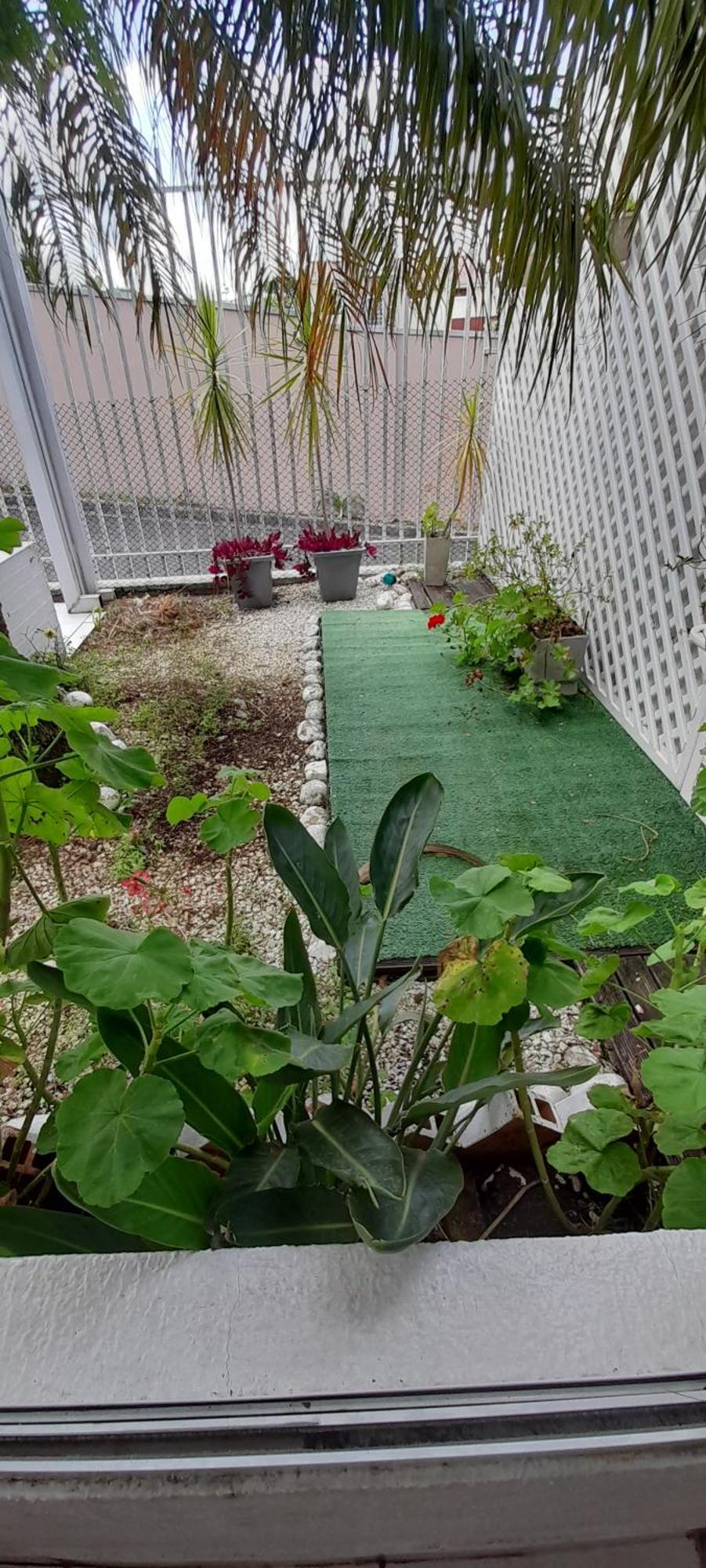 Вілла Casa Inteira 2 Dorm Minimo 3 Dias Курітіба Екстер'єр фото